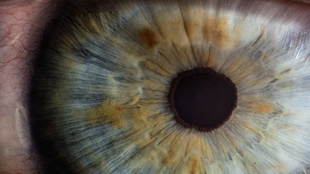 Ingezoomd beeld op een blauw-bruin oog