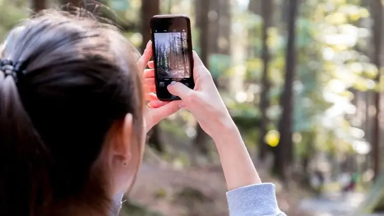Vrouw neemt een foto van een bos met haar smartphone