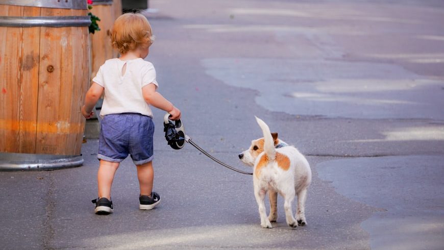 Peuter wandelt met zijn hondje aan de leiband