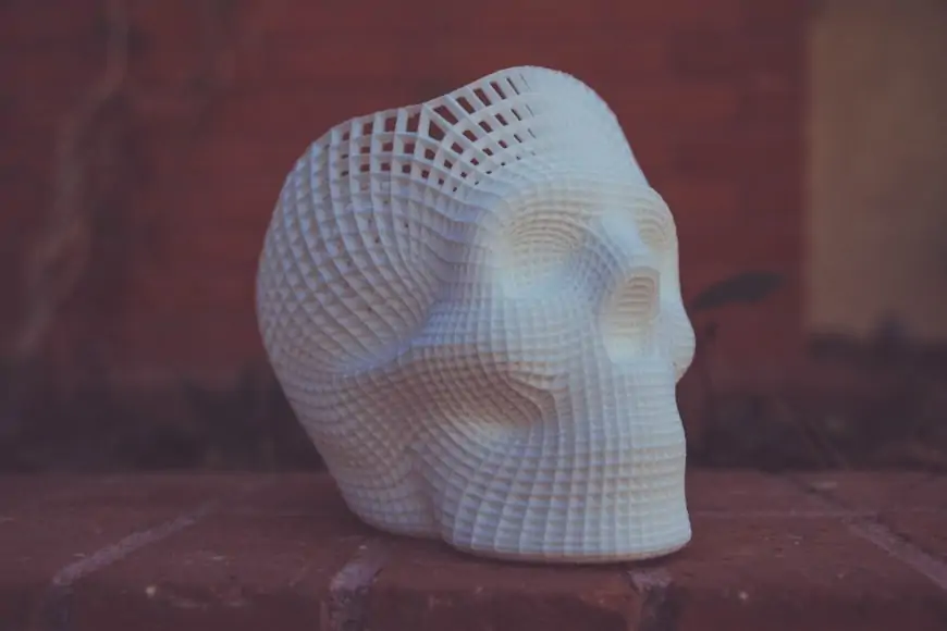 3D geprinte schedel