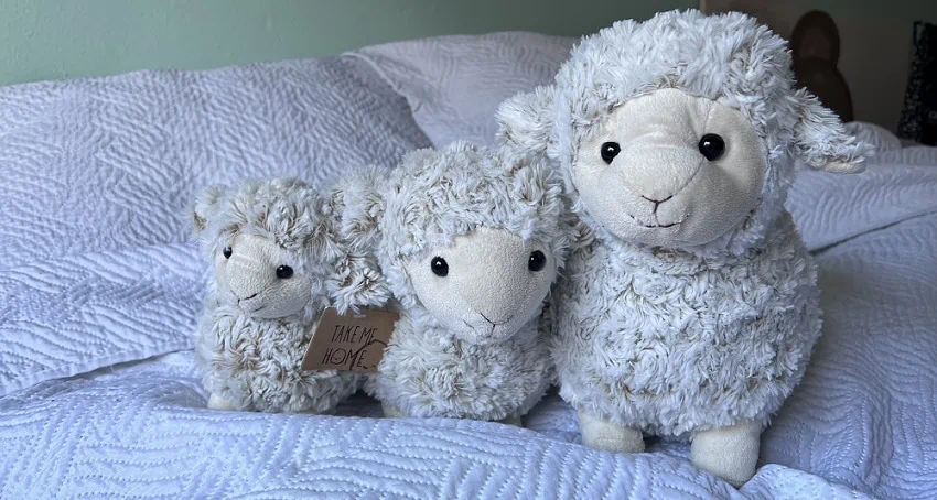 Drie witte schapenknuffels op een bed met een wit sprei